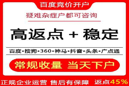 SEM托管公司案例分析：数据驱动决策